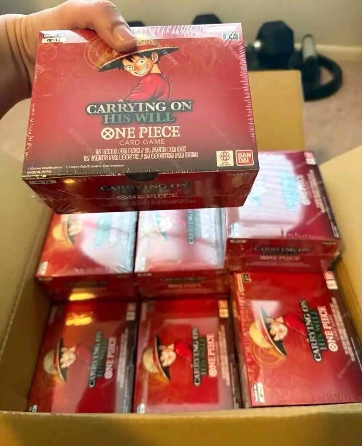 One Piece TCG: Carrying On His Will Booster Pack - Carrying On His Will (OP13) 2 One Piece TCG: Carrying On His Will Booster Pack - Carrying On His Will (OP13) - Image 2